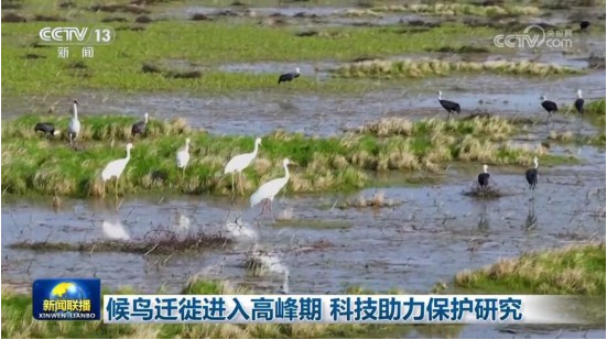 QQ截图20240517135021.png