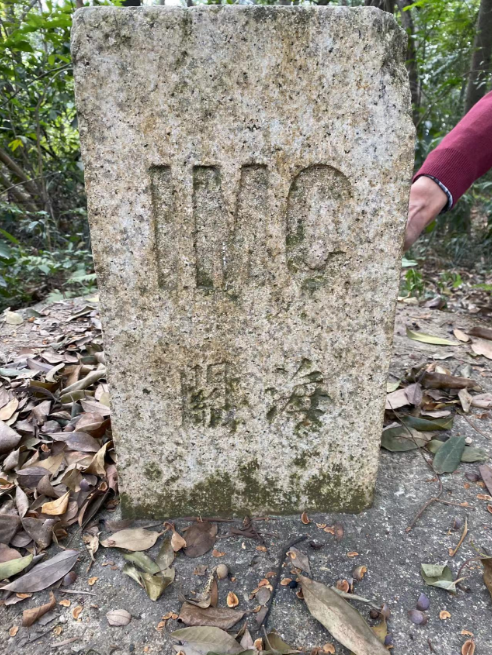 1732104748429.png